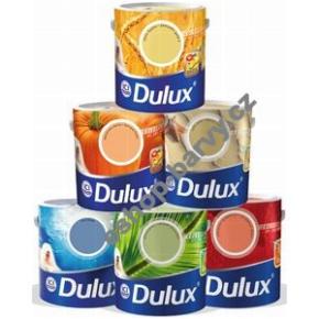 DULUX INDICKÉ STEPI / 2,5 L